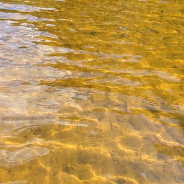 пейзажи природы альберт сафиуллин лето река лиелупе