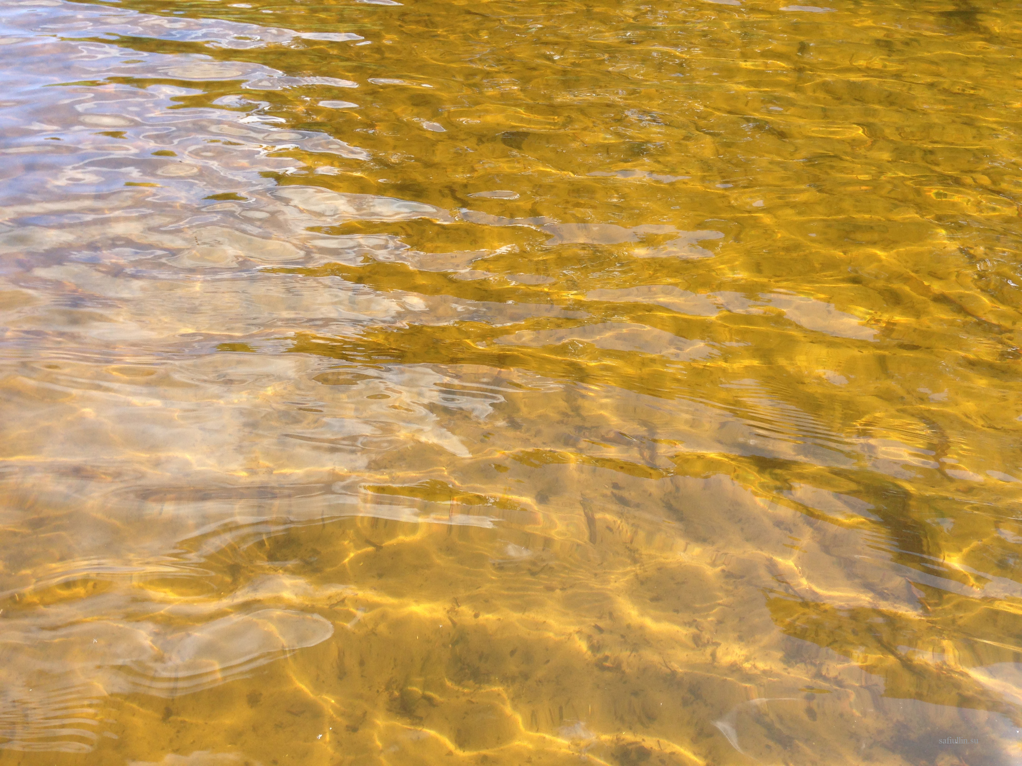 пейзажи природы альберт сафиуллин лето река лиелупе