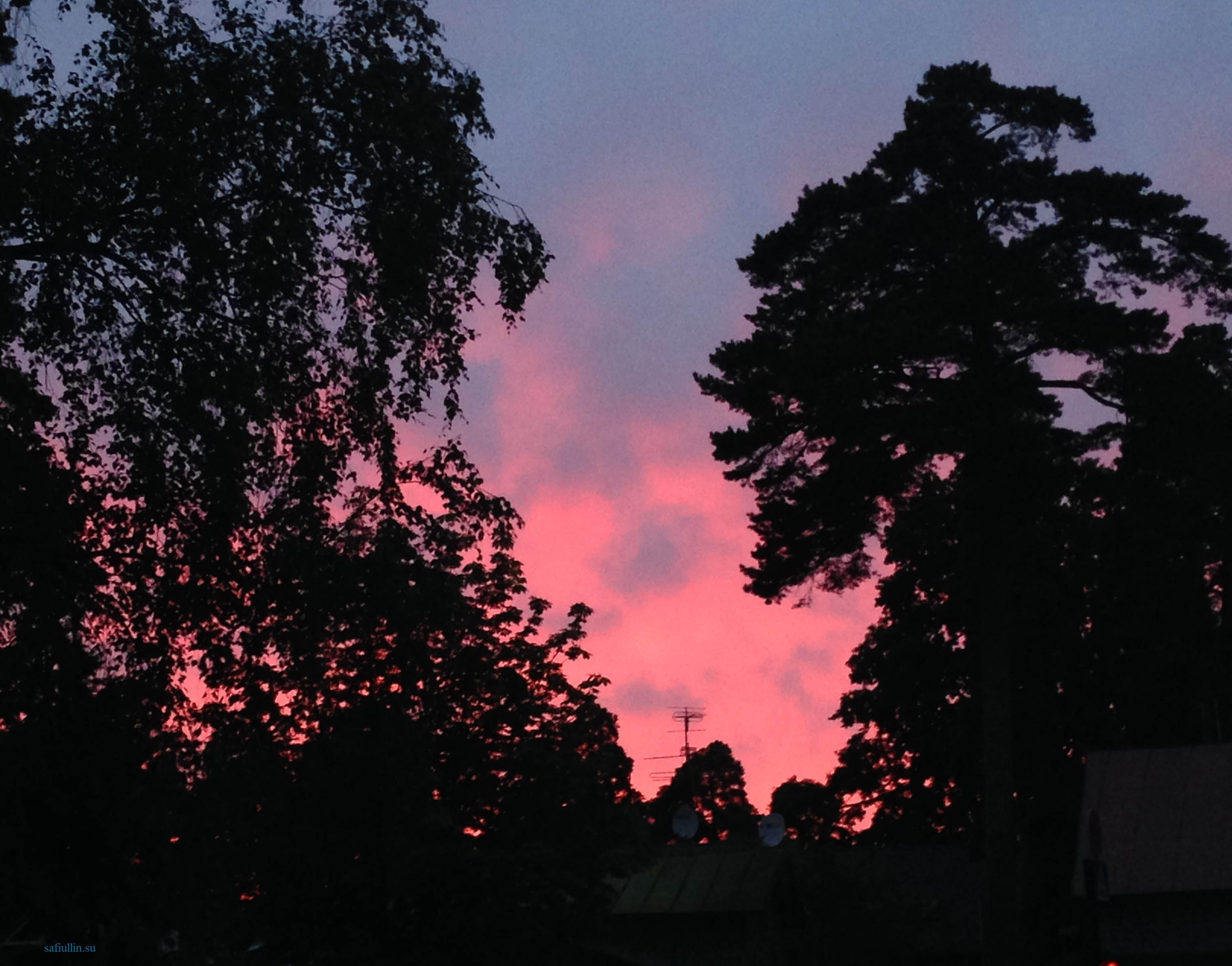 пейзажи природы альберт сафиуллин лето закат солнца юрмала