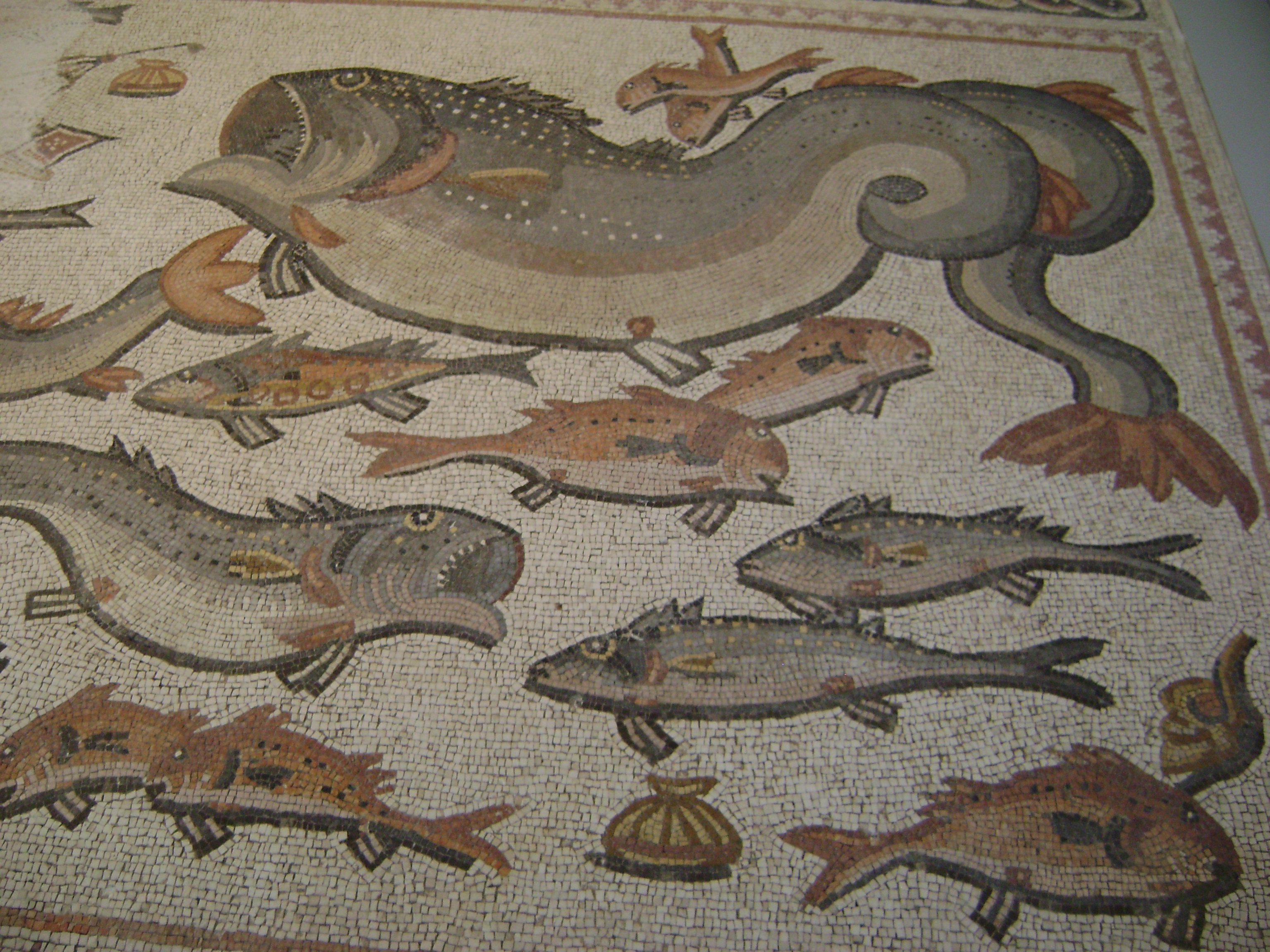 Рыба Барабулька римская мозаика Израиль пейзажи природы Альберт Сафиуллин