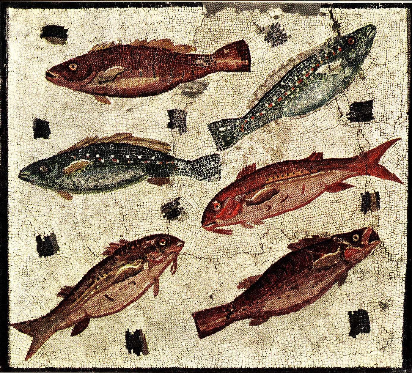 рыба Барабулька римская мозаика пейзажи природы Альберт Сафиуллин