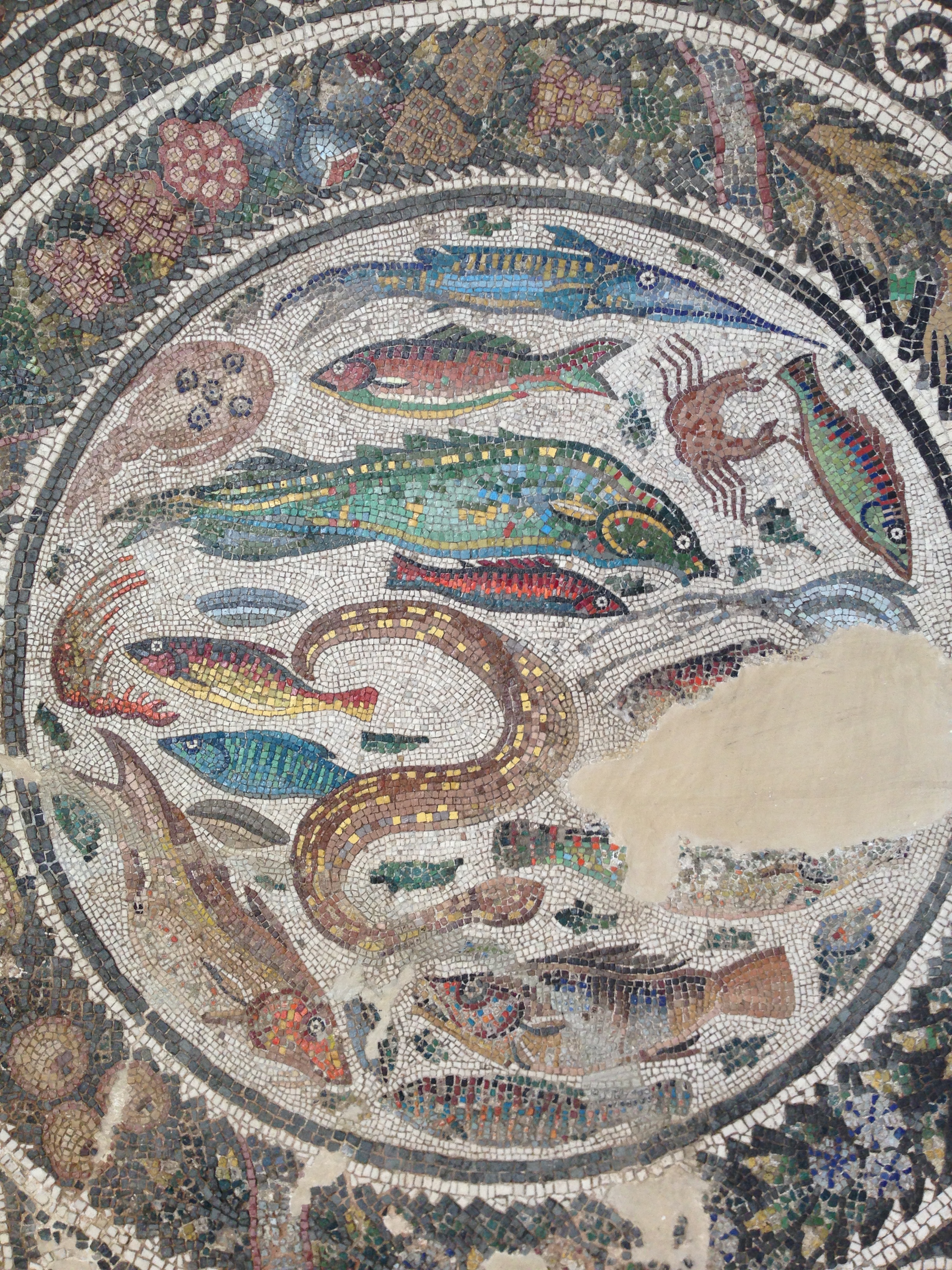 рыба Барабулька римская мозаика Толедо Испания пейзажи природы Альберт Сафиуллин