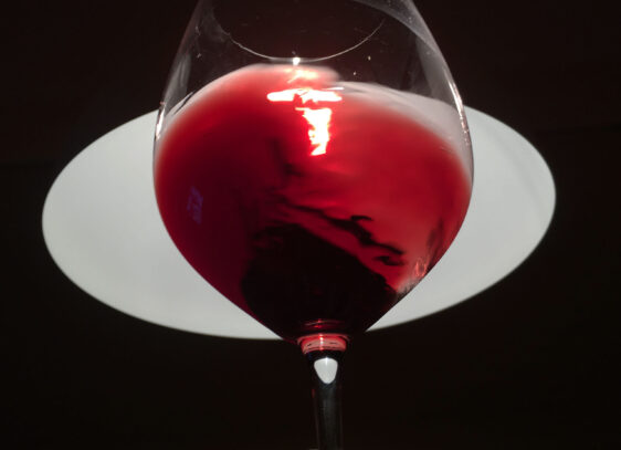 Красное вино Rioja Coto de Imaz 2004 Grand Reserva