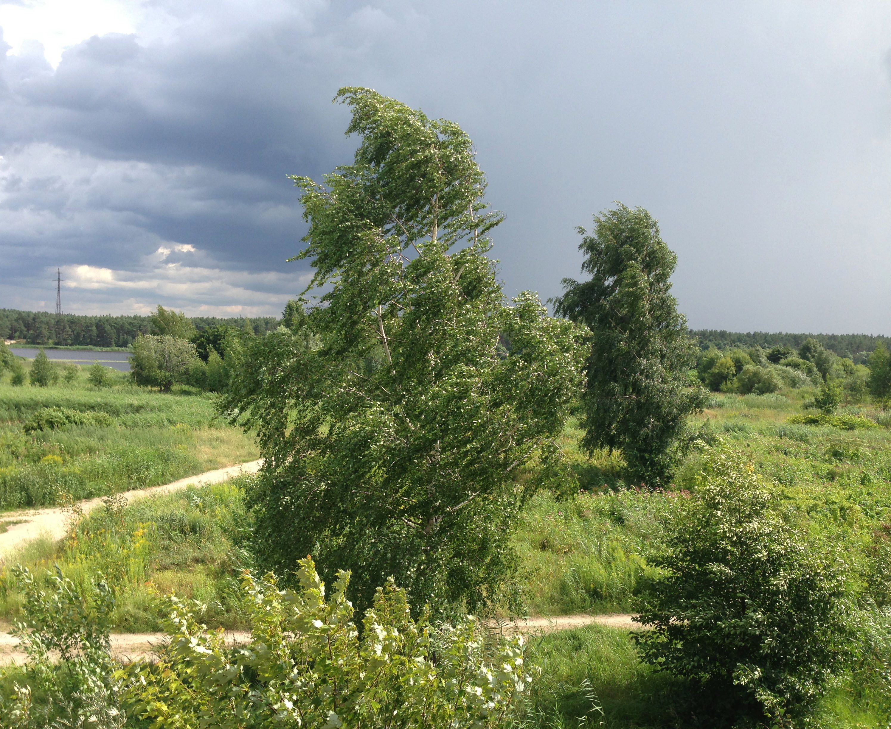 Ветер лето гроза Прибалтика пейзажи природы Альберт Сафиуллин