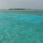 морской пейзаж акула риф лагуна Мальдивы океан подводный мир художник Альберт Сафиуллин