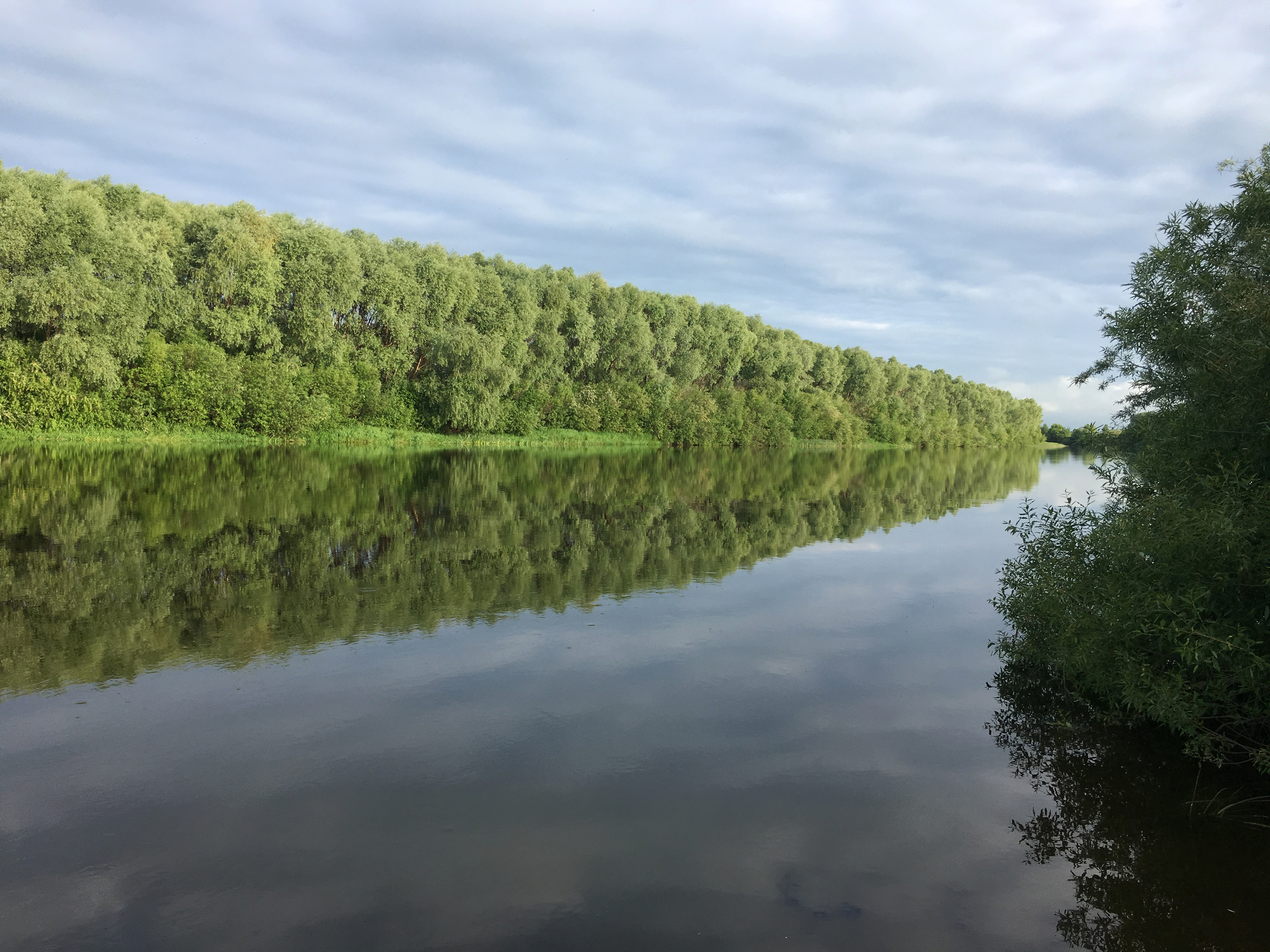 Река Цна Сасово летняя рыбалка рыба июнь пейзажи природы Альберт Сафиуллин