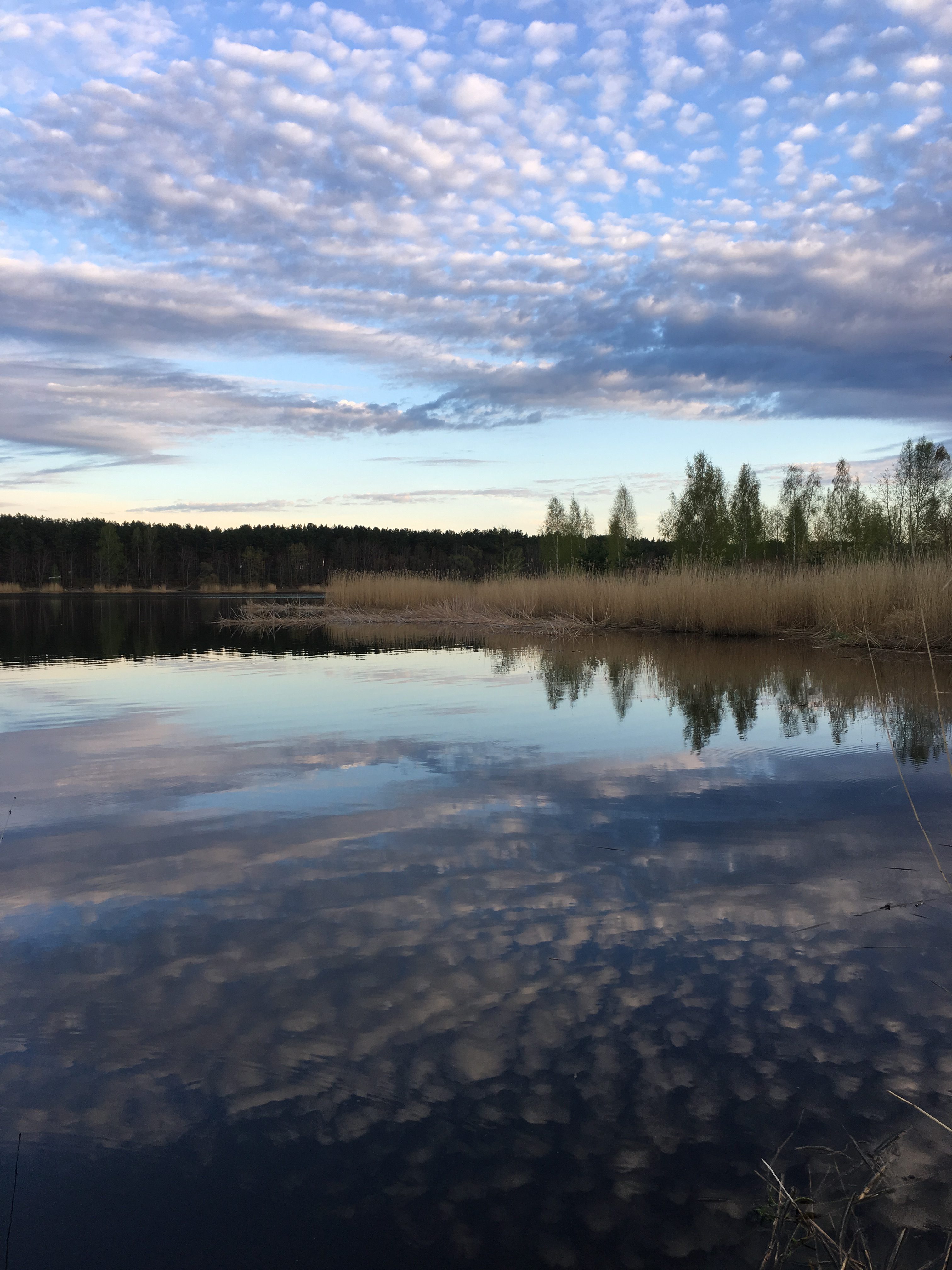 рыбалка Юрмала Латвия река Лиелупе Lilelupe пейзажи природы Альберт Сафиуллин Albert Safiullin