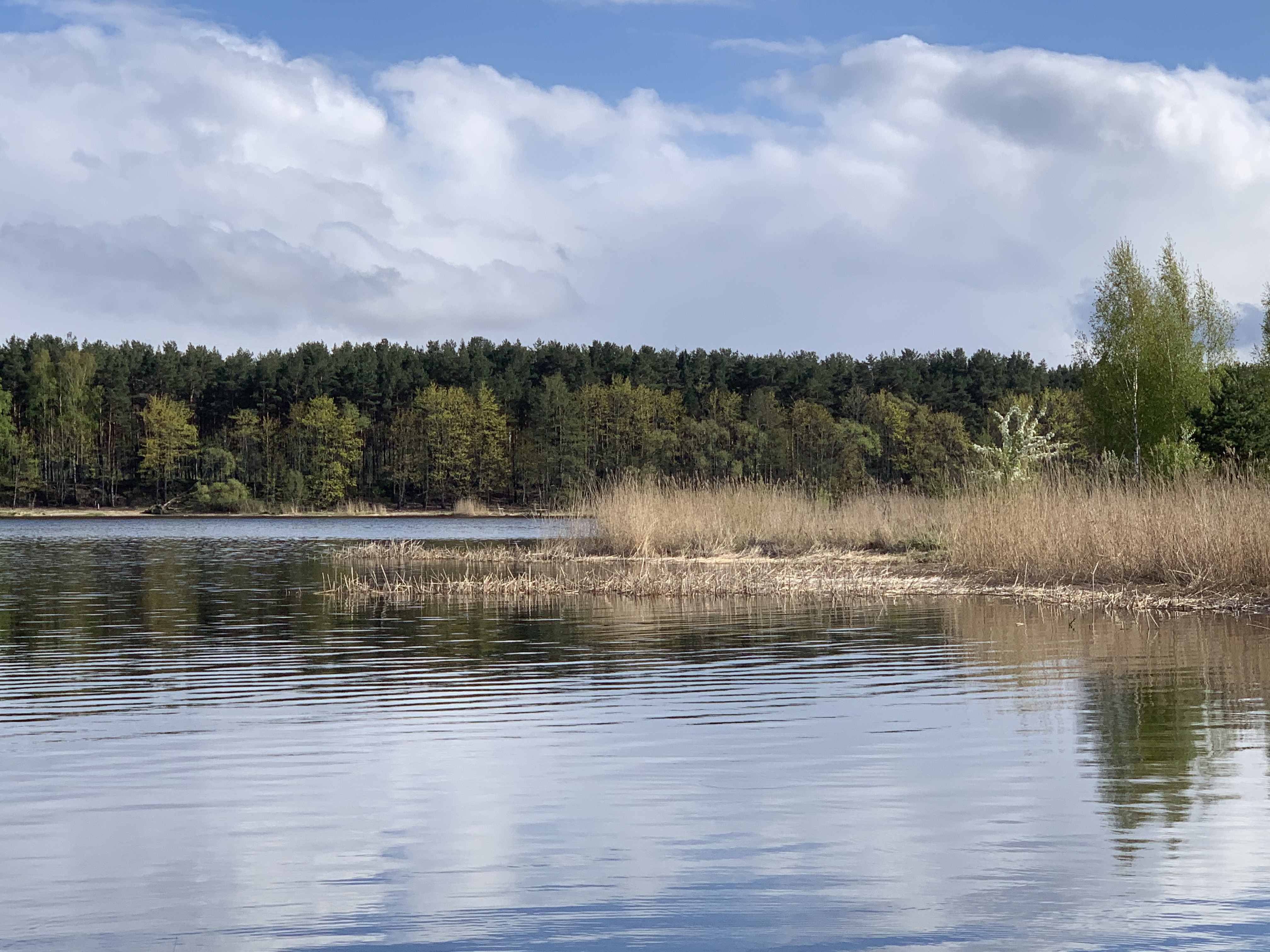 рыбалка река Лиелупе Латвия Lielupe пейзажи природы май лещ Альберт Сафиуллин