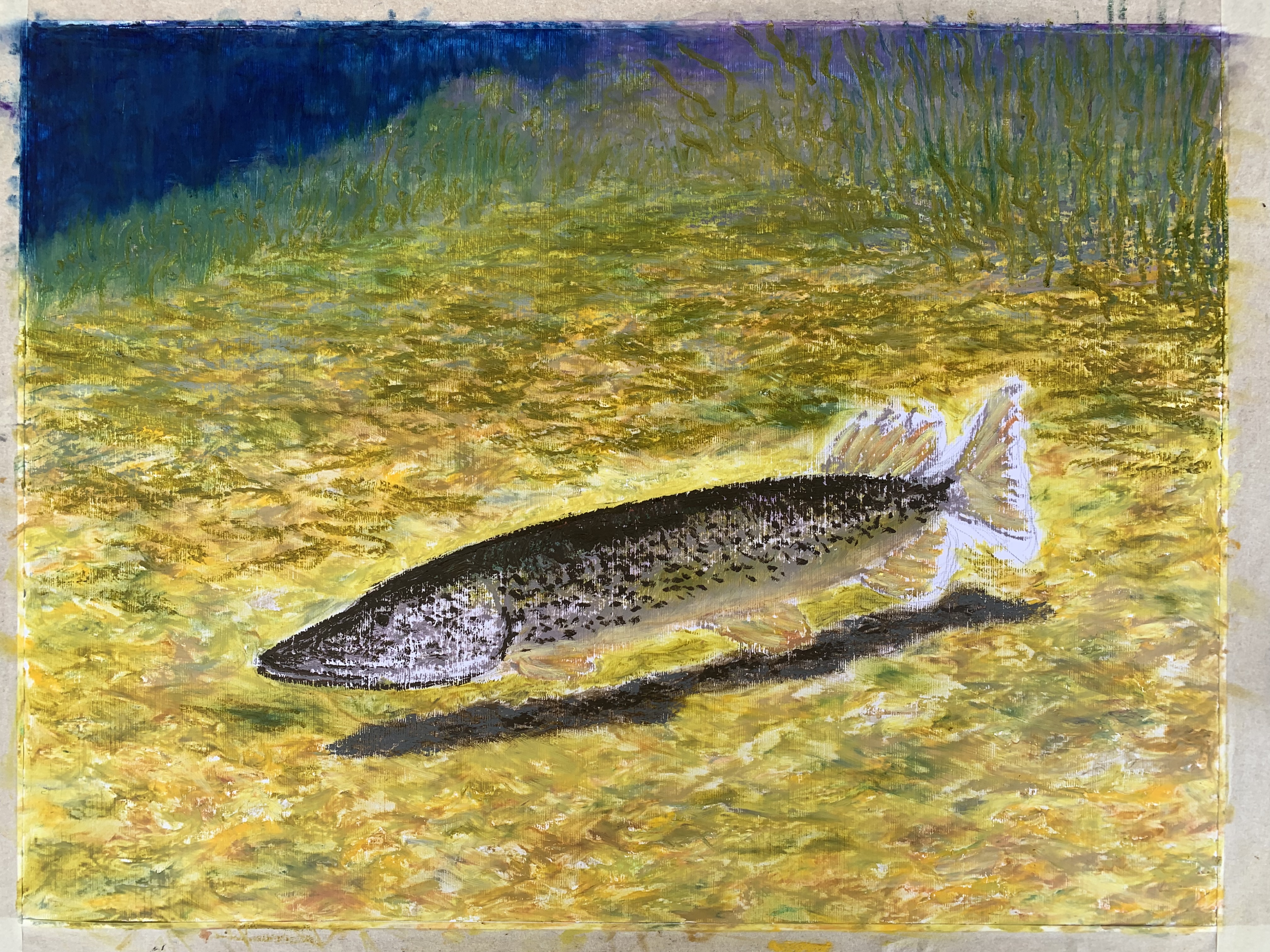 щука рыба картина масляная пастель пейзажи природы художник Альберт Сафиуллин