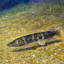 щука рыба картина масляная пастель пейзажи природы художник Альберт Сафиуллин