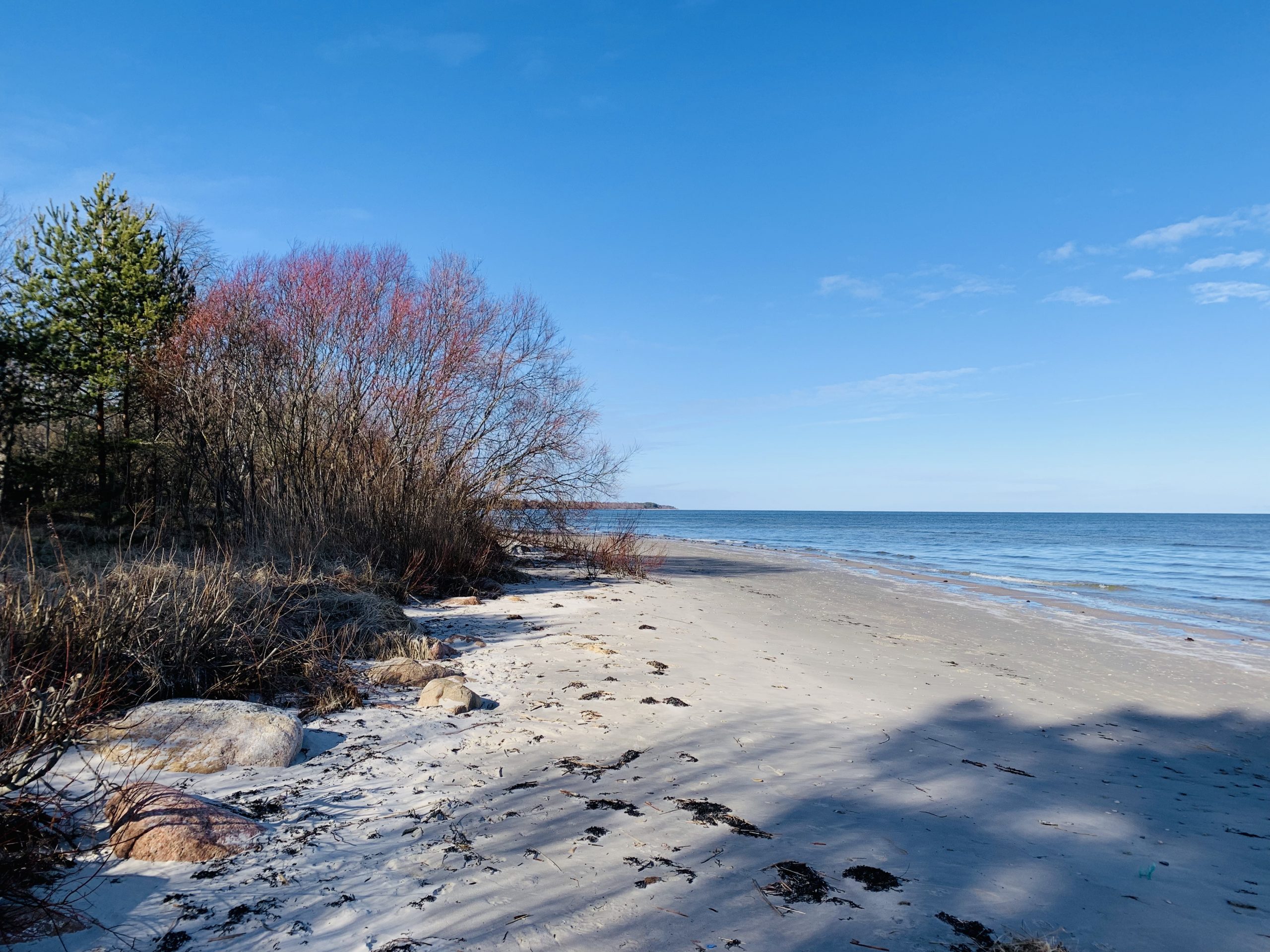 Море берег дюны Юрмала Латвия пейзажи природы Альберт Сафиуллин