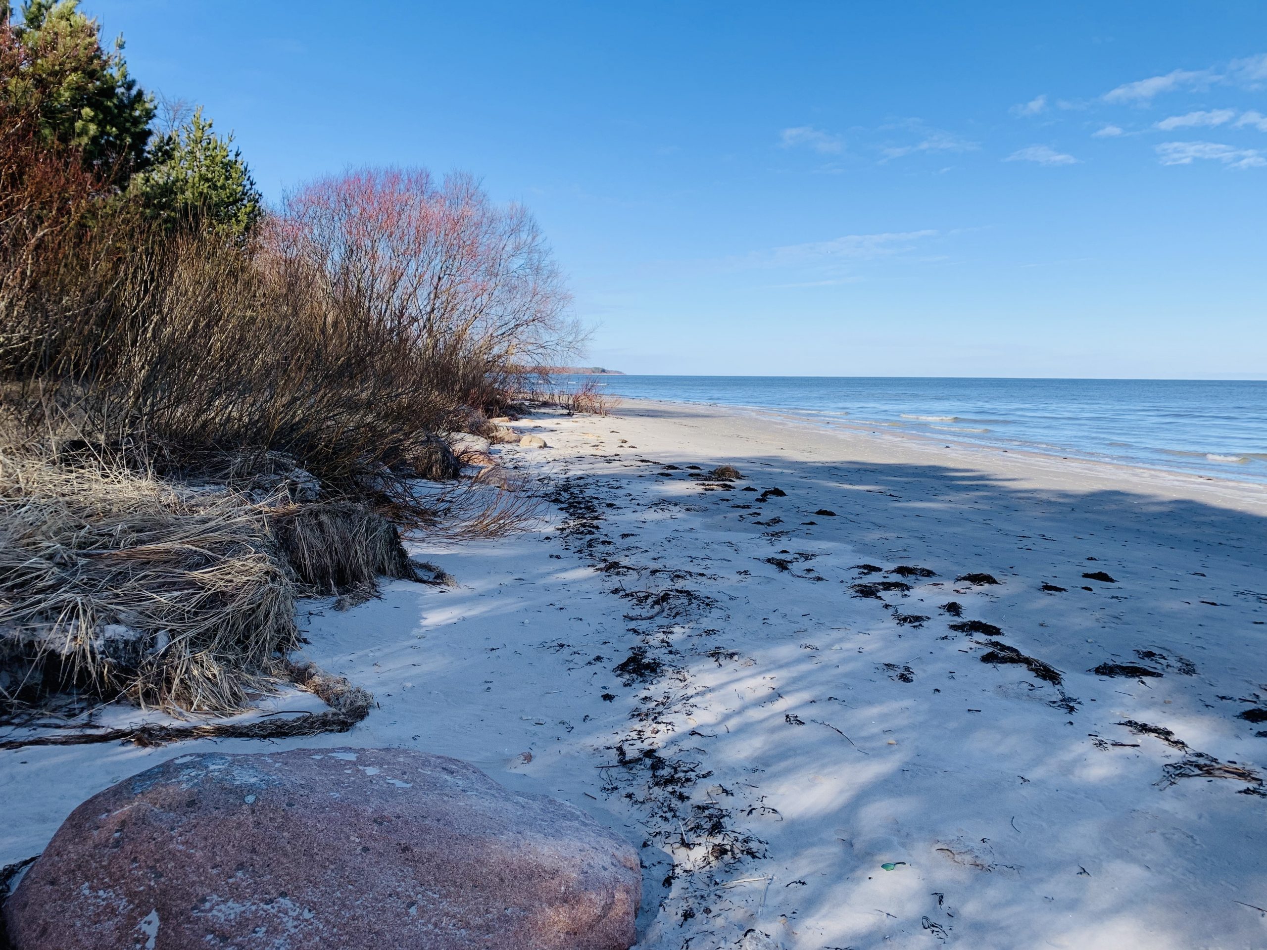 Море берег дюны Юрмала Латвия пейзажи природы Альберт Сафиуллин
