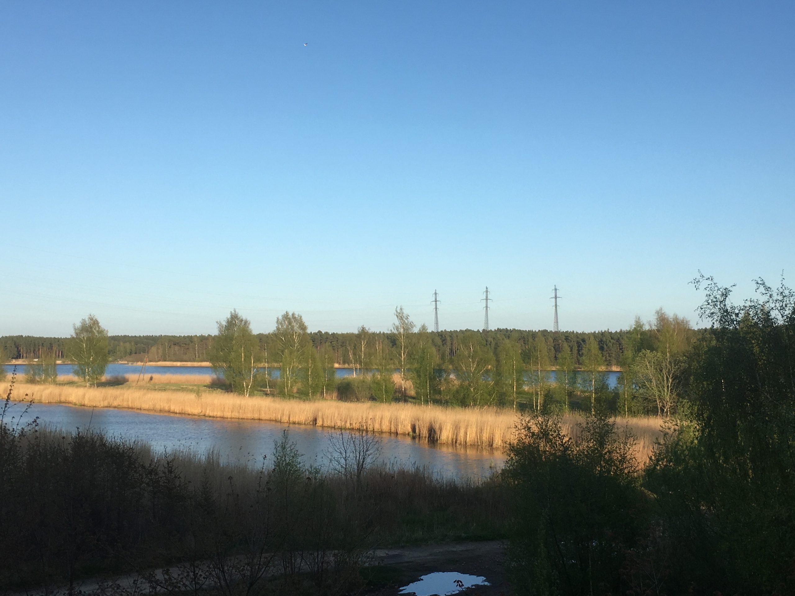 Река Лиелупе Юрмала Латвия пейзажи природы Альберт Сафиуллин