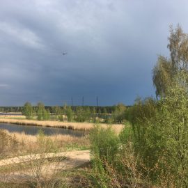 Река Лиелупе Юрмала Латвия пейзажи природы Альберт Сафиуллин