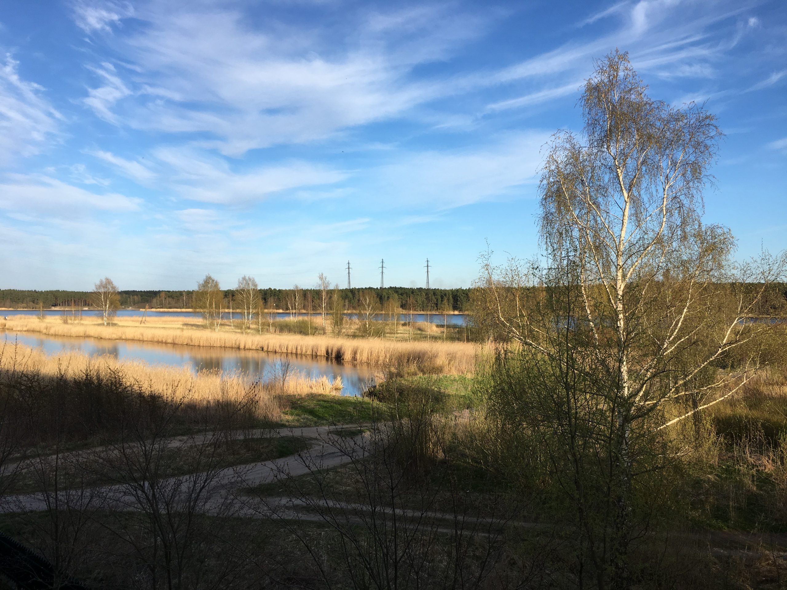 Река Лиелупе Юрмала Латвия пейзажи природы Альберт Сафиуллин