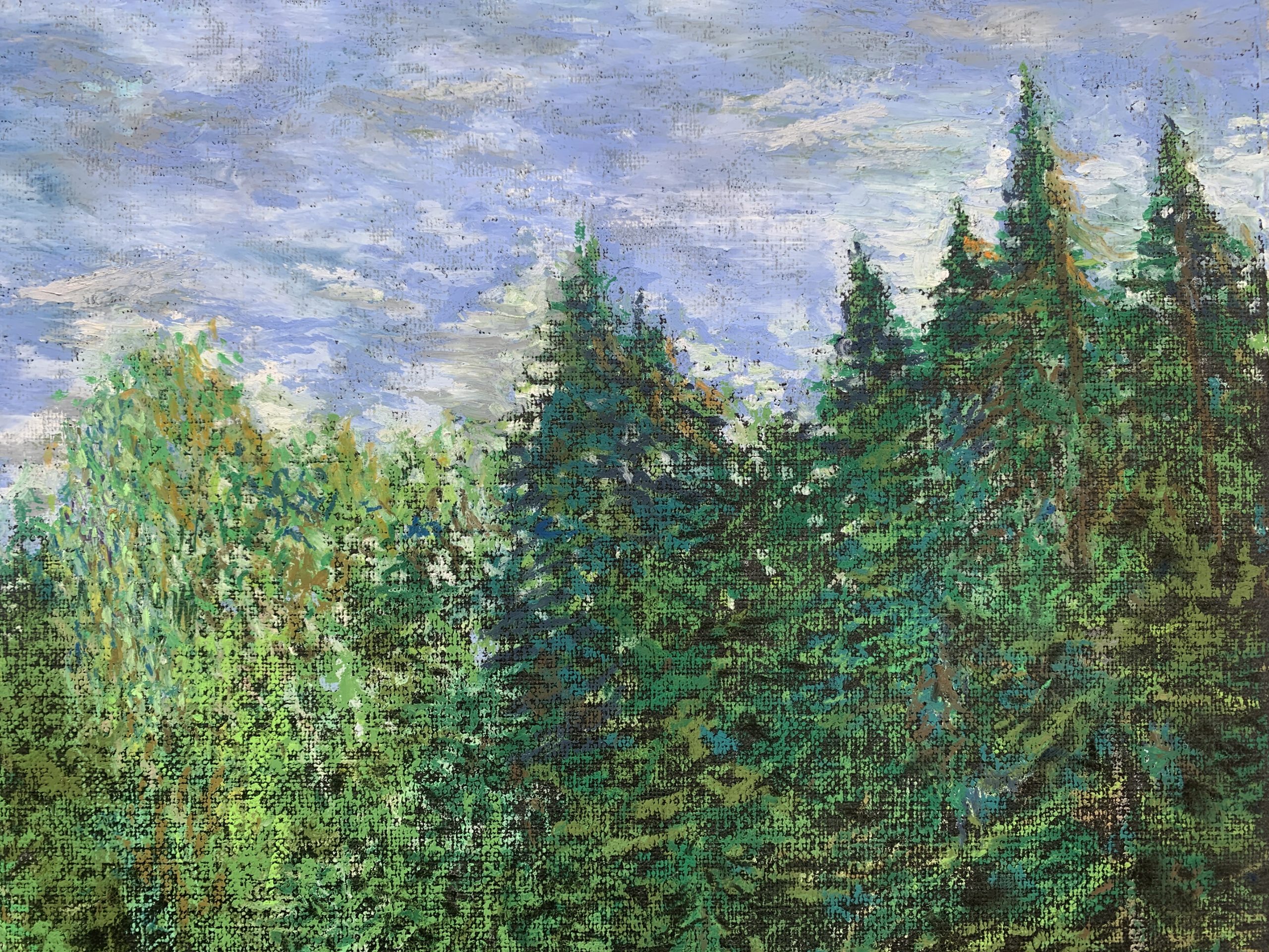 прудик у дороги масляная пастель картина пейзажи природа художник Альберт Сафиуллин