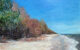 Пейзаж картина море дюны Яункемери пляж Латвия Балтика масло холст художник Альберт Сафиуллин